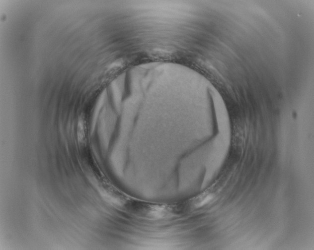 X0000088190130200706121725