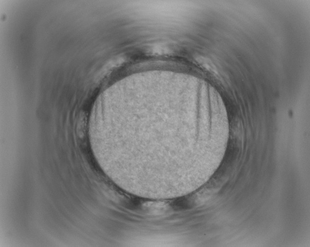 X0000088190133200706121725