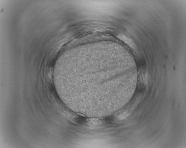 X0000088190141200706121725