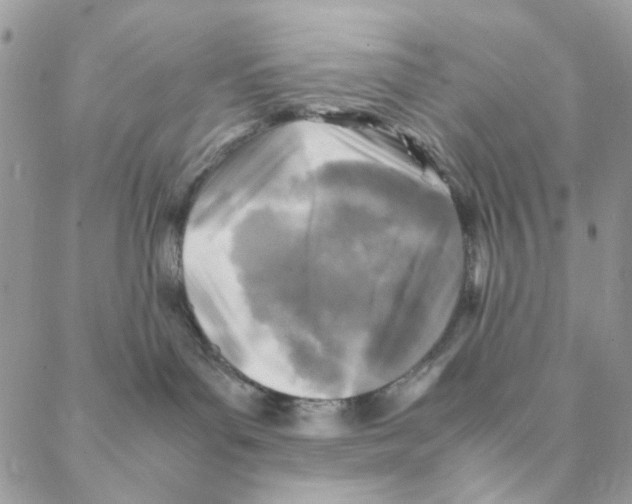 X0000088190143200706121725