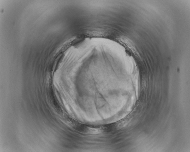 X0000088190167200706121724