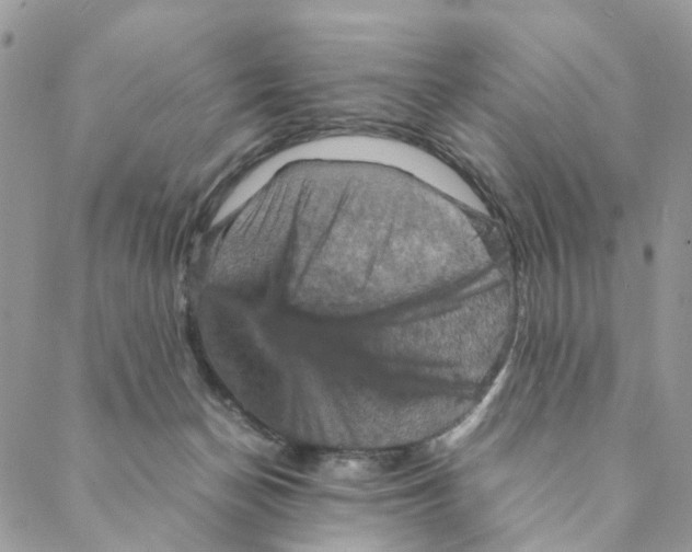 X0000088190174200706121725