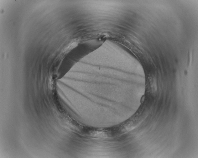 X0000088190224200706121724