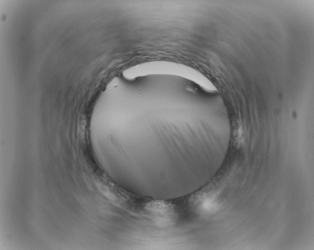 X0000088190231200706121723