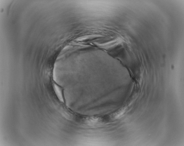 X0000088190235200706121723