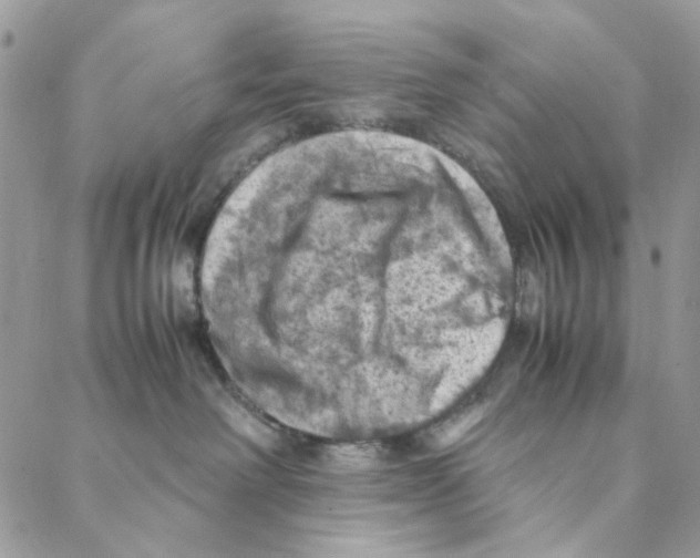 X0000088190238200706121723