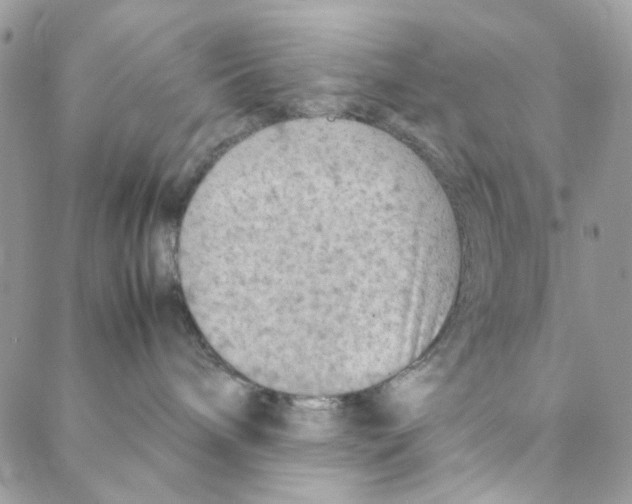 X0000088190240200706121723