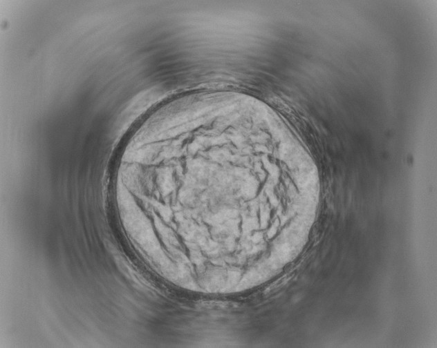 X0000088190242200706121723