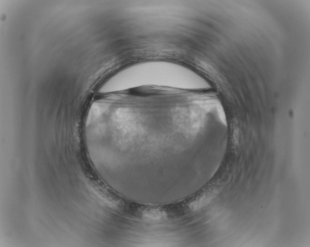 X0000088190258200706121723