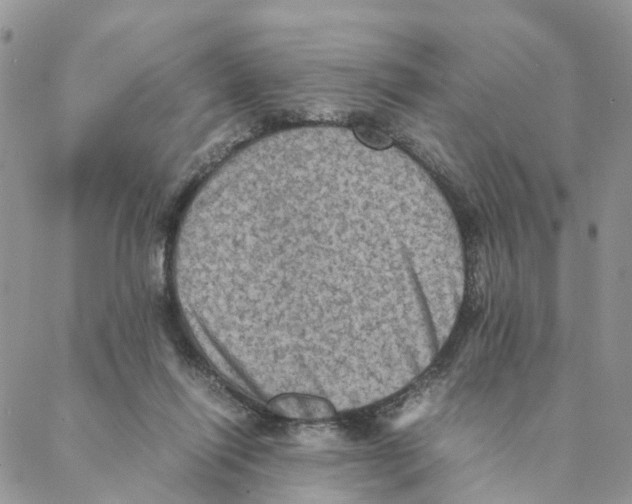 X0000088190262200706121723