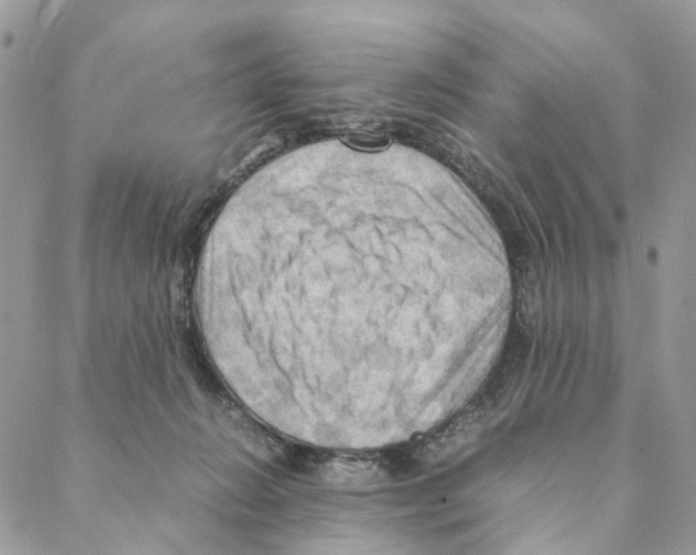 X0000088190270200706121723