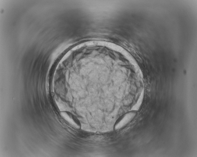 X0000088190294200706121722