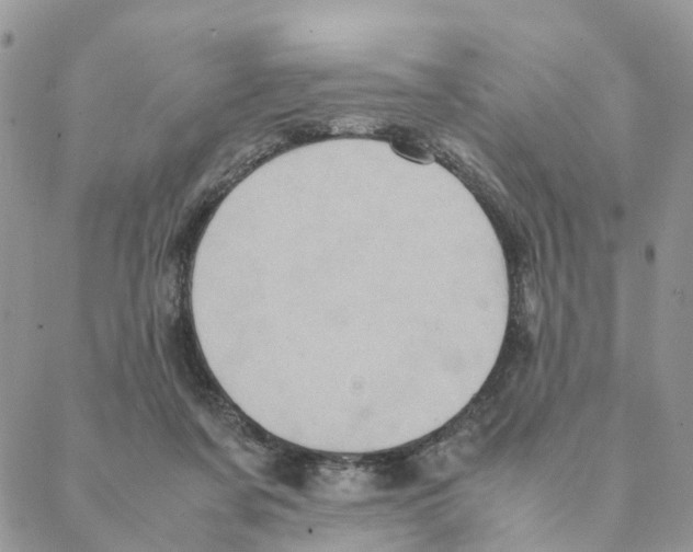 X0000088190311200706121722