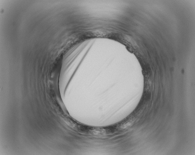 X0000088190317200706121722