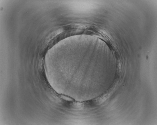 X0000088190325200706121722