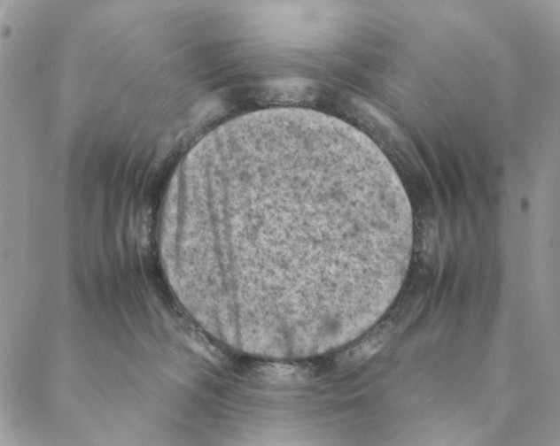 X0000088190326200706121722