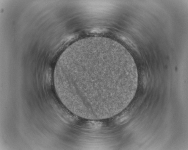 X0000088190328200706121722