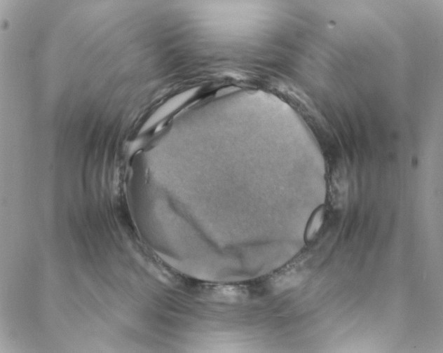 X0000088190330200706121722