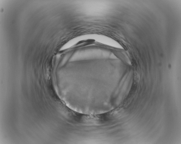 X0000088190331200706121722