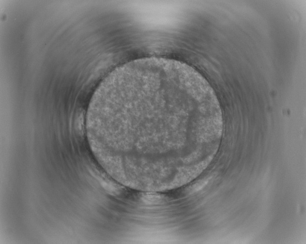 X0000088190336200706121722