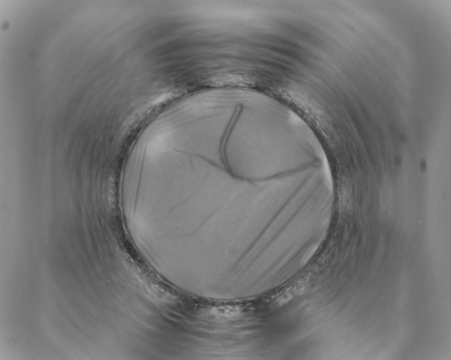 X0000088190353200706121721