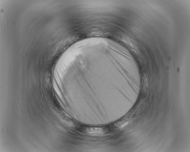 X0000088190361200706121721