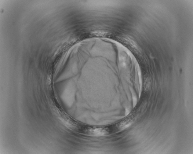 X0000088190365200706121721