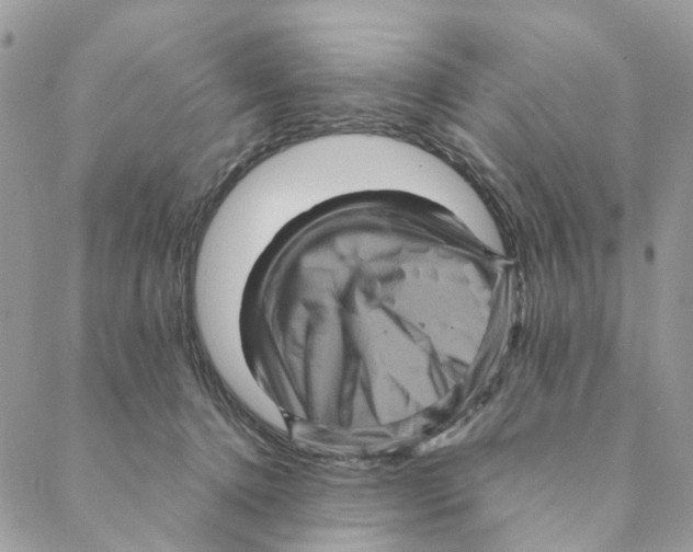 X0000088190368200706121722