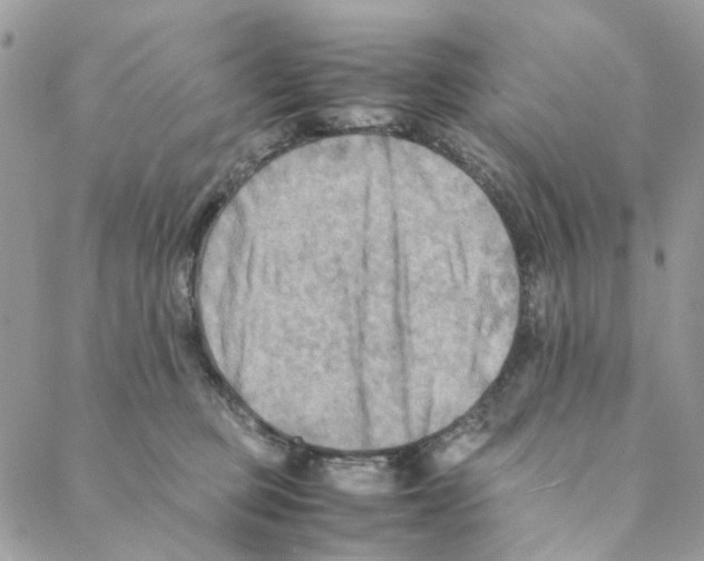 X0000088190373200706121722
