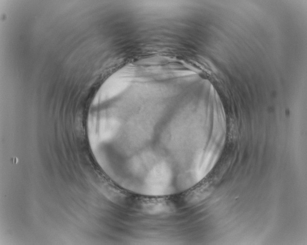 X0000088190377200706121722