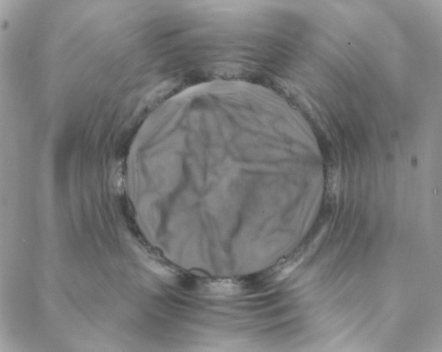 X0000088190383200706121722