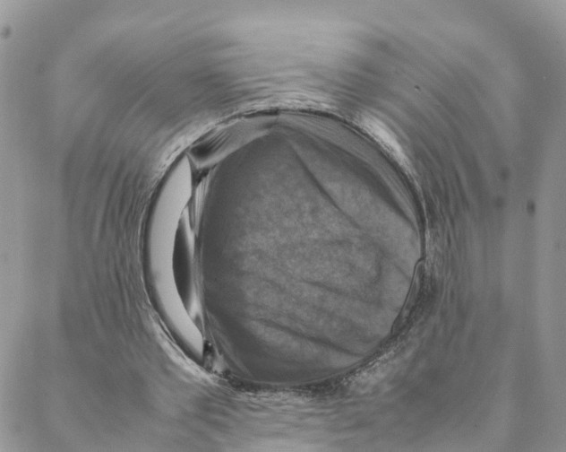 X0000088190389200706121721