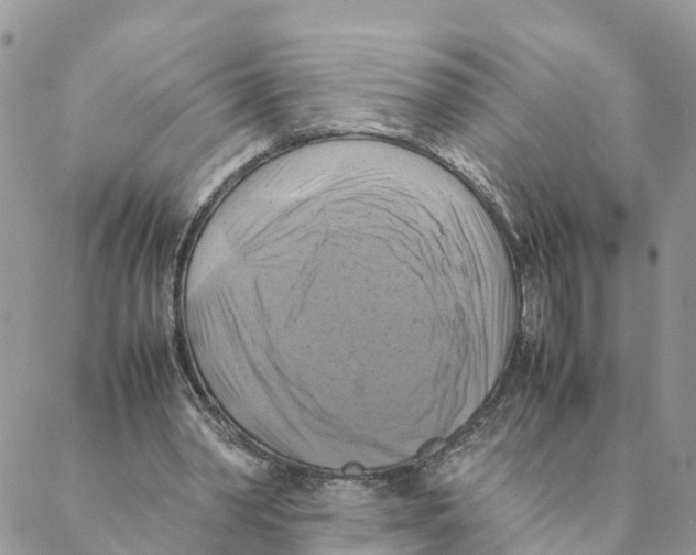 X0000088190390200706121721