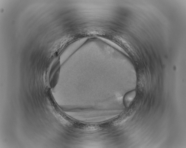 X0000088190402200706121721