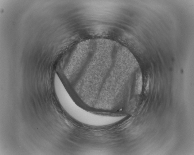 X0000088190416200706121720