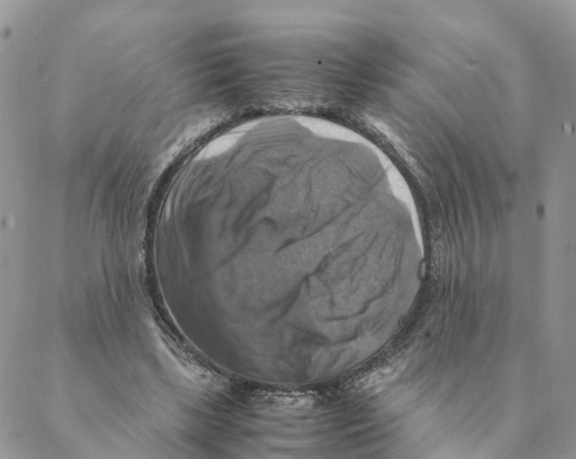 X0000088190443200706121720