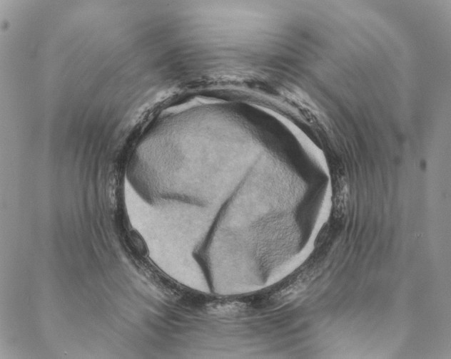 X0000088190452200706121720