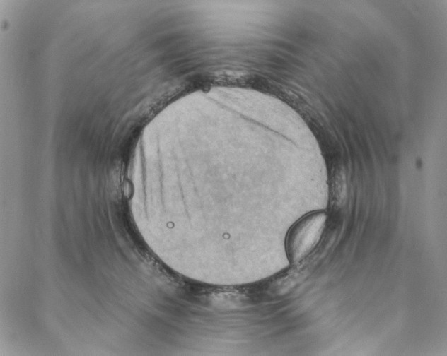X0000088190468200706121720