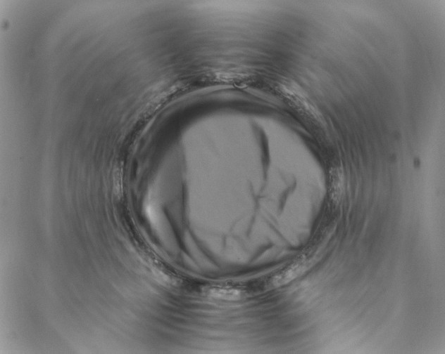 X0000088190471200706121720