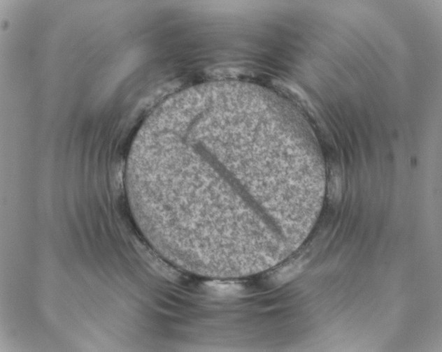 X0000088190477200706121720