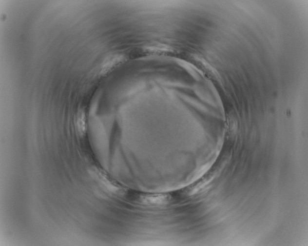 X0000088190479200706121720