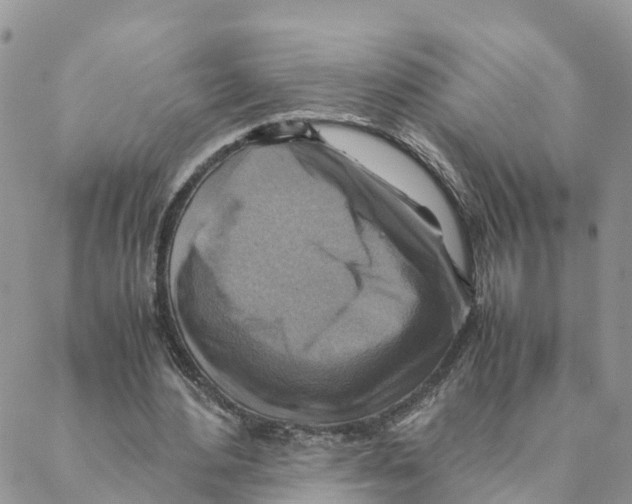 X0000088190484200706121719
