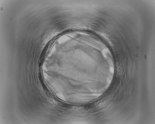 X0000088190487200706121719