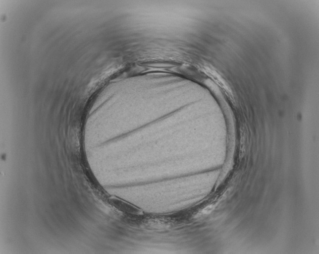 X0000088190489200706121719
