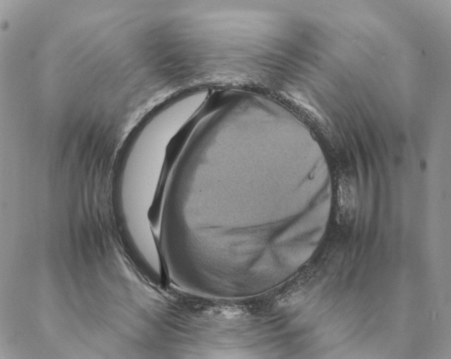 X0000088190492200706121719