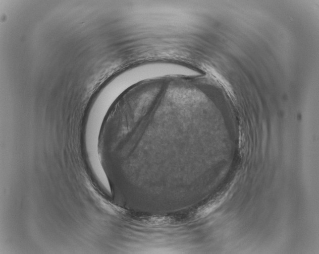 X0000088190493200706121719