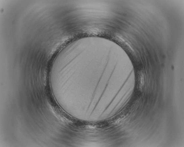 X0000088190496200706121719