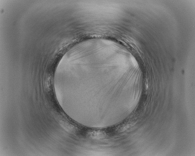 X0000088190503200706121719