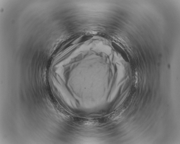 X0000088190504200706121719