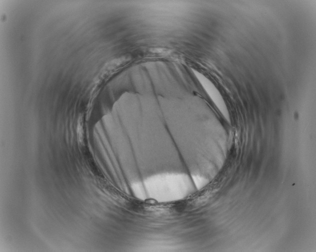X0000088190516200706121719